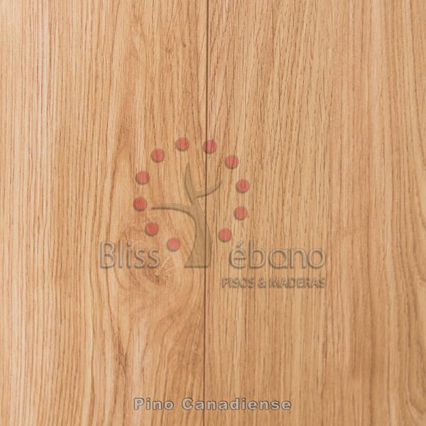 Textura de madera con el logo de la marca y un diseño de árbol estilizado, con la etiqueta "Piso Laminado Pino Canadiense".