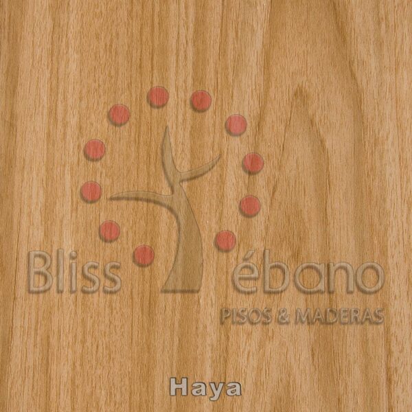 Superficie de madera con logotipo de la marca que contiene un árbol estilizado y el texto "bliss Piso Vinilico Haya".