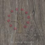 Una superficie de madera con un diseño de árbol estilizado y puntos rojos, acompañada de elementos de texto "bliss ébano" y "Piso de PVC Bruma Verde".