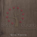Superficie de madera con el logo en relieve "Piso de PVC Gris Tierra" y la inscripción "pisos & maderas, gris tierra" junto a un motivo de árbol estilizado.