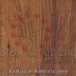 Superficie de madera con el logo de la marca y las palabras "bliss ébano pisos & maderas Tabaco Americano" junto con un diseño de árbol estilizado hecho de círculos rojos y un contorno beige.