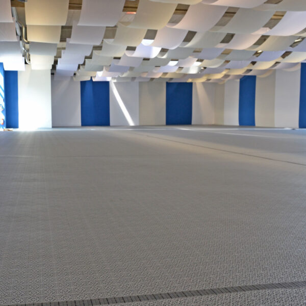 Espaciosa área interior con alfombra gris estampada, paredes azules y diseño de techo geométrico.